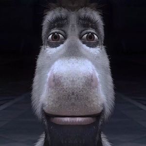 Meet your Posher, Meridian